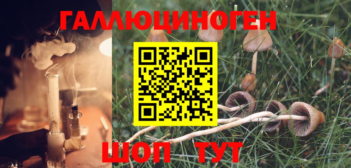 Ноябрьск  Галлюциногенные грибы GOLDEN TEACHER  Галлюциногенные грибы GOLDEN TEACHER  Вход с VPN 